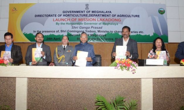 Launch of Lakadong Turmeric Mission